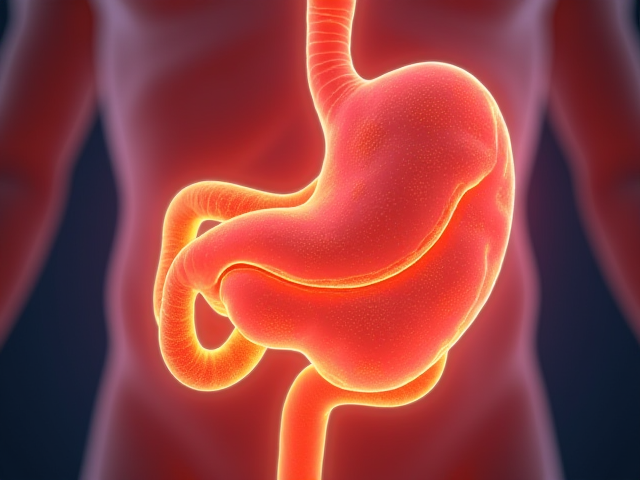 An illustration of inflammation in the stomach organ.