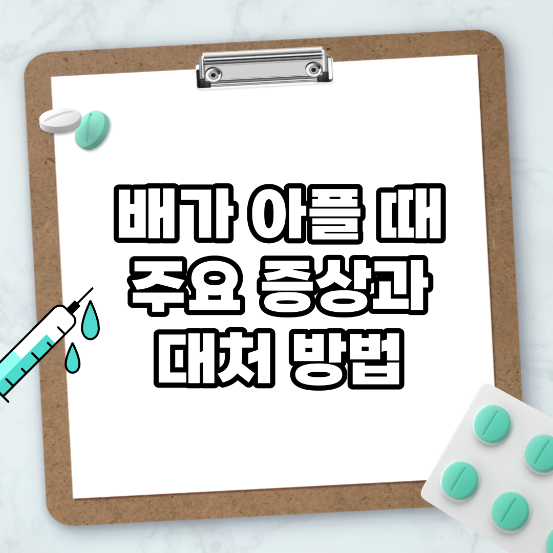Read more about the article 배가 아플 때 주요 증상과 대처 방법