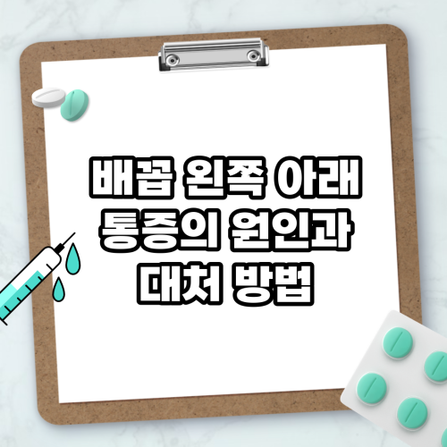 Read more about the article 배꼽 왼쪽 아래 통증의 원인과 대처 방법