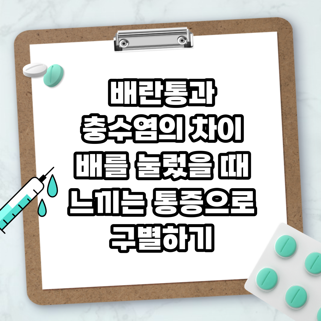 Read more about the article 배란통과 충수염의 차이 배를 눌렀을 때 느끼는 통증으로 구별하기