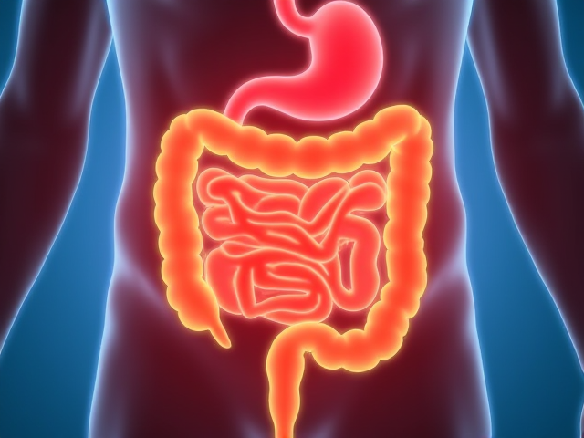 Description of acute abdomen causes like appendicitis and irritable bowel syndrome