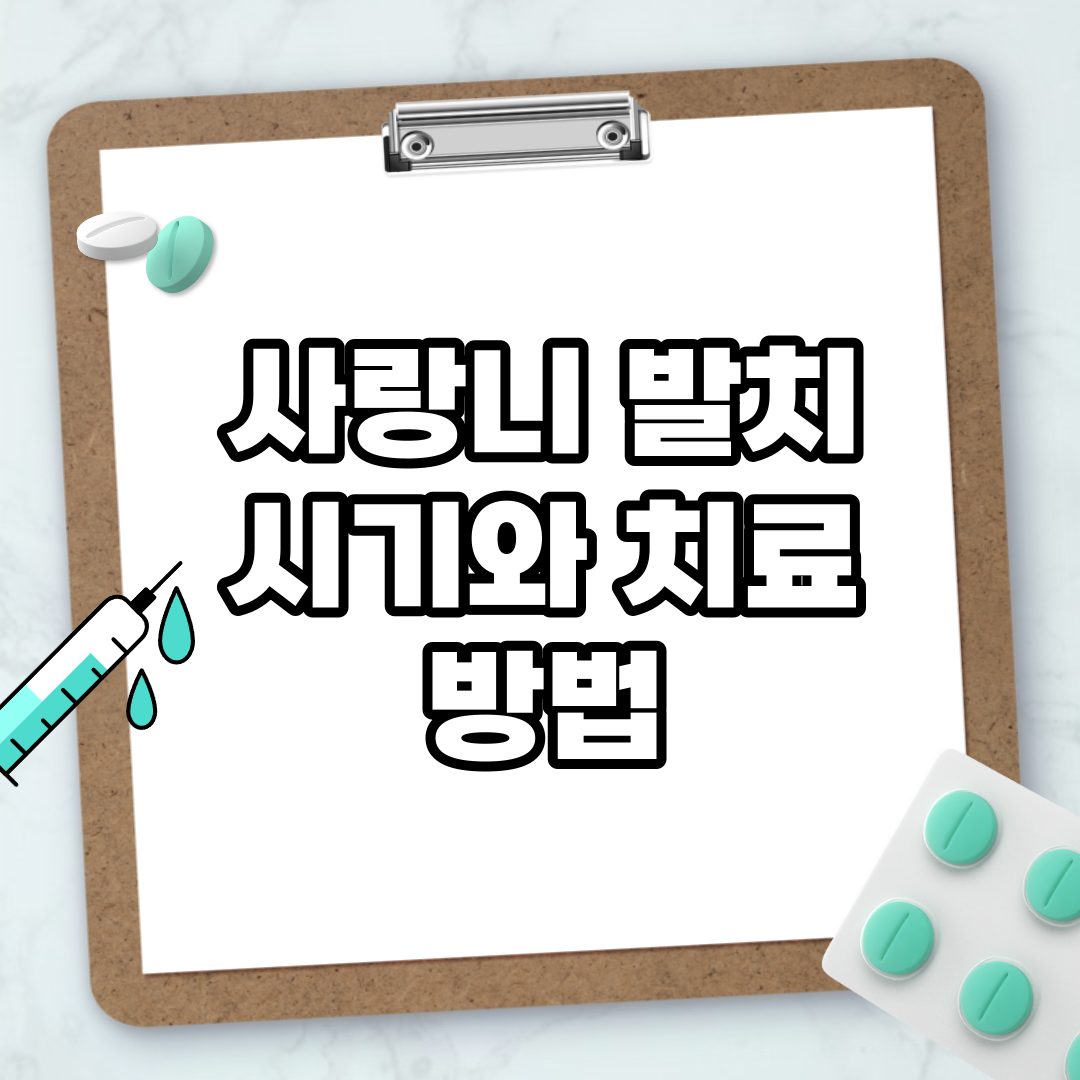Read more about the article 사랑니 발치 시기와 치료 방법