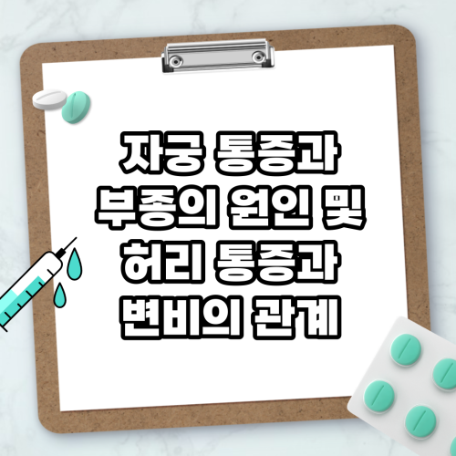 Read more about the article 자궁 통증과 부종의 원인 및 허리 통증과 변비의 관계