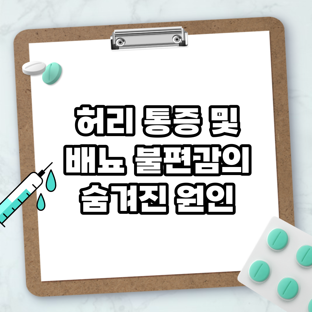 Read more about the article 허리 통증 및 배뇨 불편감의 숨겨진 원인