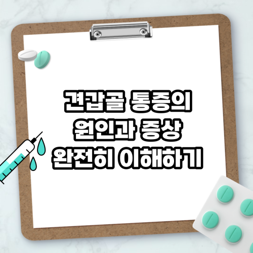 Read more about the article 견갑골 통증의 원인과 증상 완전히 이해하기