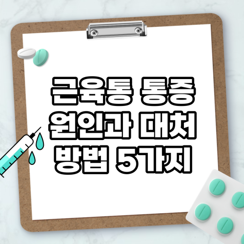 Read more about the article 근육통 통증 원인과 대처 방법 5가지