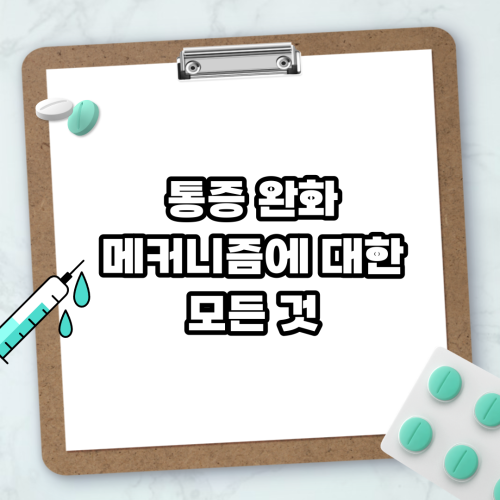 Read more about the article 통증 완화 메커니즘에 대한 모든 것